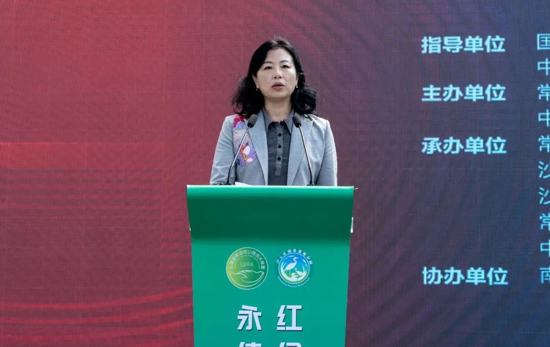 640 (4).jpg 640 (4).jpg